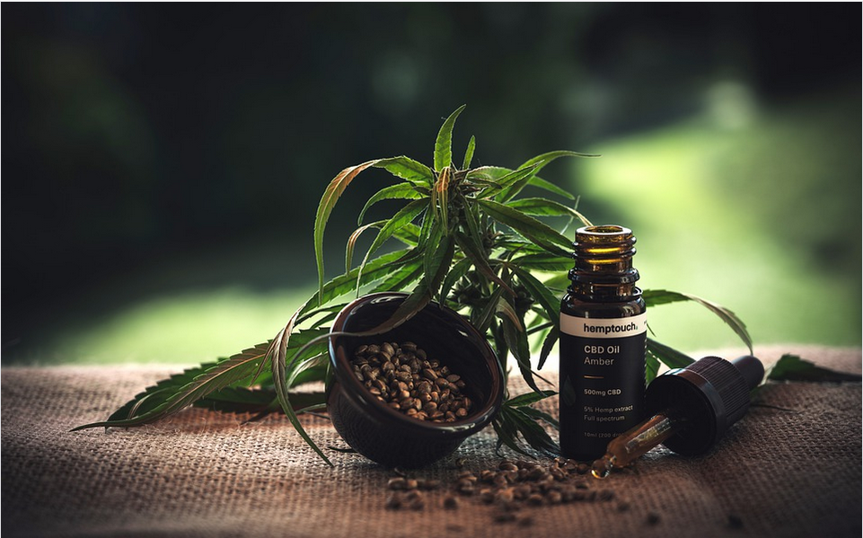 cbd oil