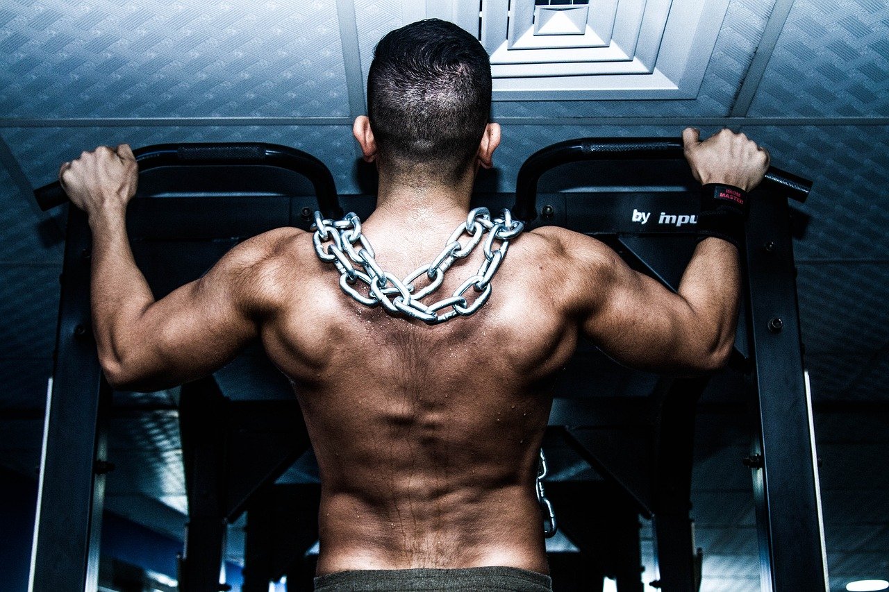 gym training bodybuild